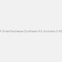 T7 gRNA SmartNuclease Synthesis Kit (includes CAS510A-1 & T7 IVT synthesis reagents)